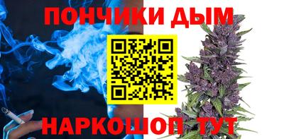 прущие крисы Будённовск