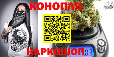 прущие крисы Будённовск