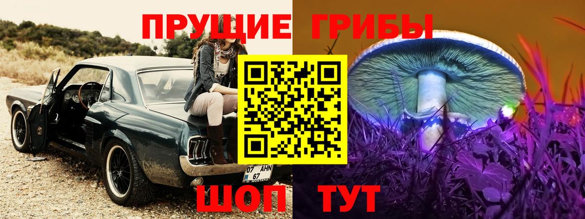 Псилоцибиновые грибы GOLDEN TEACHER Северодвинск