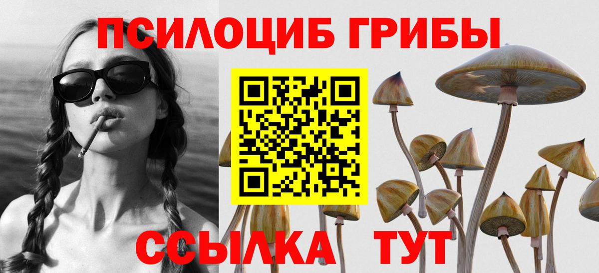 Северодвинск  Галлюциногенные грибы Magic Shrooms  Вход с VPN 